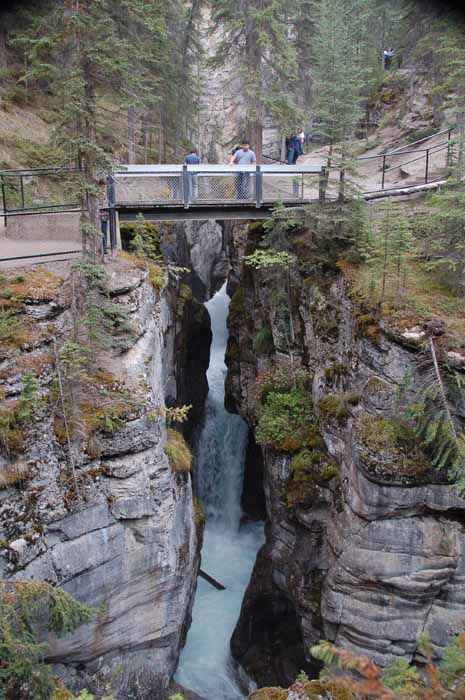 Maligne Canyon